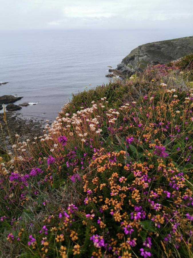 Captivating Isolde Cottage With Pool Near St Ives Camborne Zewnętrze zdjęcie