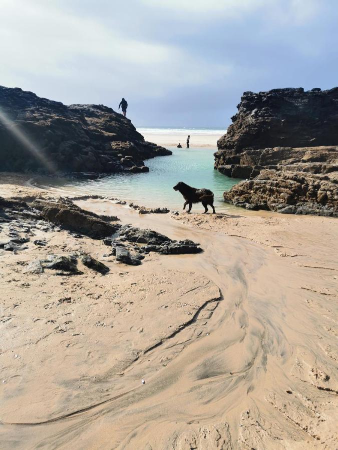 Captivating Isolde Cottage With Pool Near St Ives Camborne Zewnętrze zdjęcie