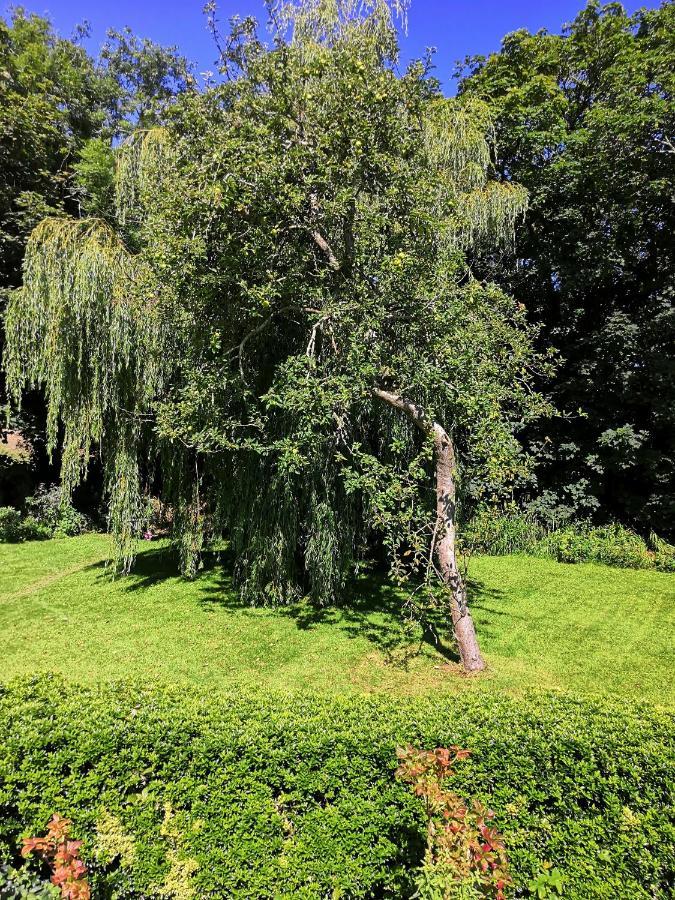 Captivating Isolde Cottage With Pool Near St Ives Camborne Zewnętrze zdjęcie